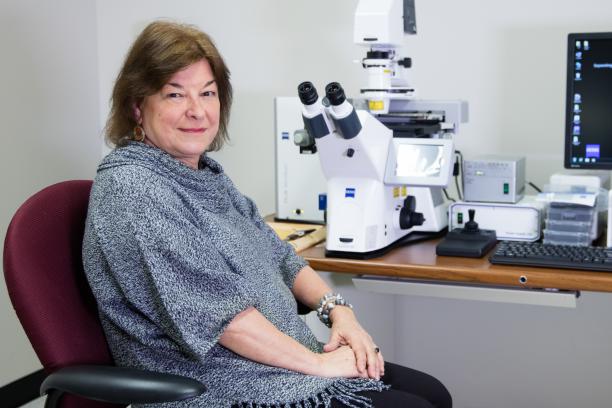 faculty feature photo